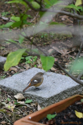 c0134734_22293793.jpg