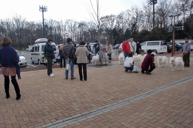 e0196135_2242129.jpg