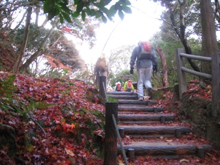 c0077338_6404620.jpg