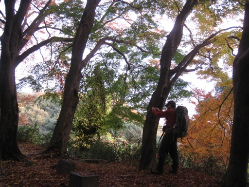 c0077338_641243.jpg