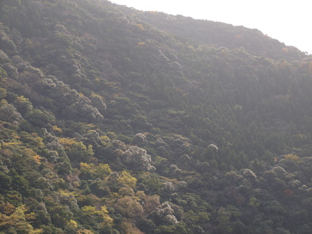 d0038545_21172139.jpg