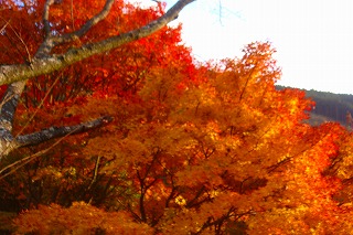 b0200747_18135521.jpg