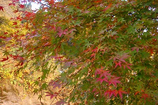 b0200747_18144874.jpg