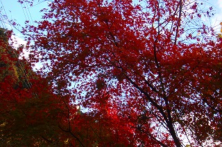 b0200747_18145779.jpg