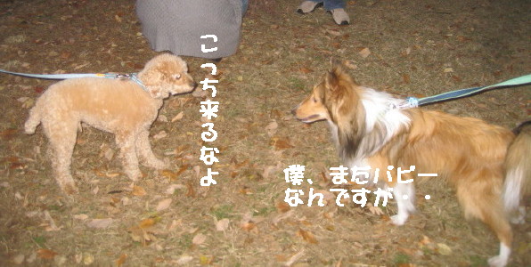 e0121548_2305247.jpg