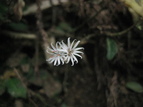c0179351_1255489.jpg