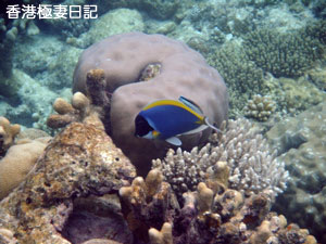 f0190653_859307.jpg