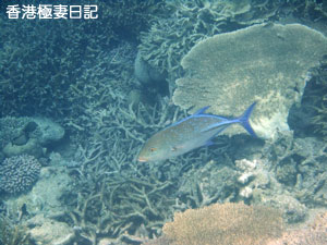 f0190653_8593358.jpg