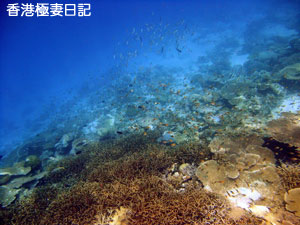 f0190653_8593977.jpg