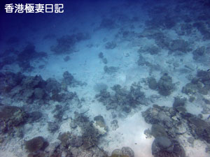 f0190653_8594343.jpg