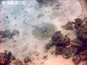 f0190653_8594540.jpg