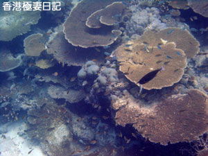 f0190653_8594943.jpg