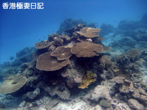 f0190653_8595231.jpg