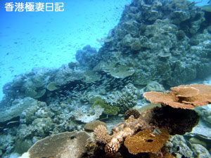 f0190653_8595526.jpg