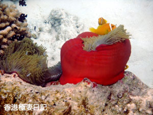 f0190653_90087.jpg