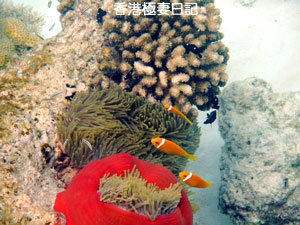 f0190653_90761.jpg