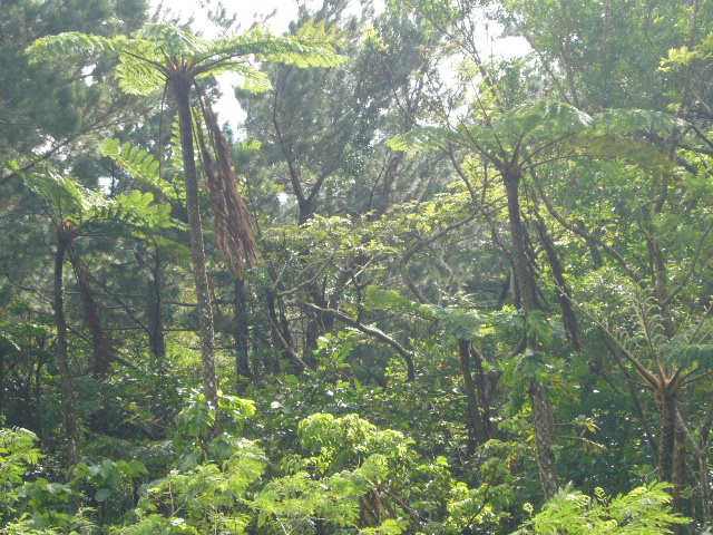 f0147556_12305563.jpg