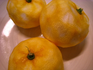 a0021558_23162074.jpg