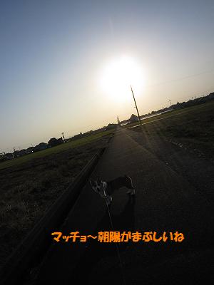 c0210375_8351570.jpg