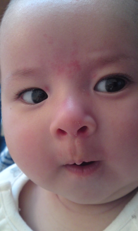 a0140576_1237587.jpg
