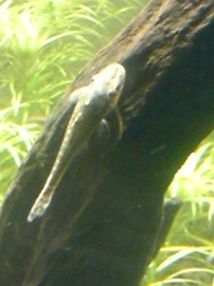 e0175276_1344434.jpg