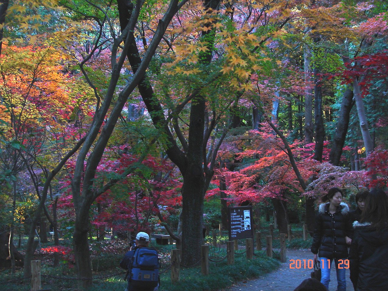 f0104277_20281967.jpg