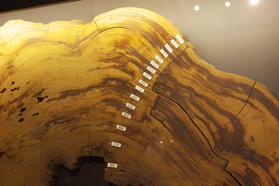 b0083779_072283.jpg