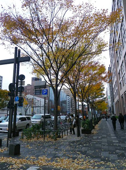 f0209683_16195118.jpg