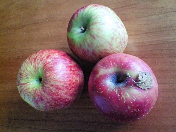 b0160186_21132231.jpg