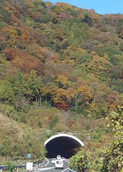 e0023790_2144216.jpg