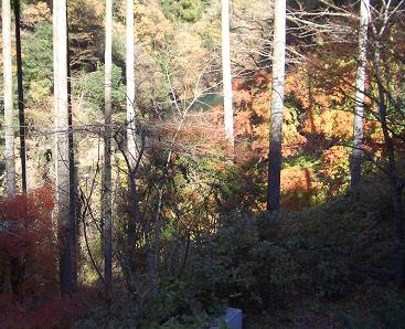 e0023790_225196.jpg