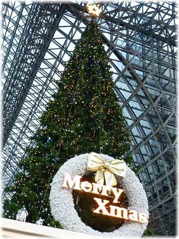 f0194690_2031211.jpg