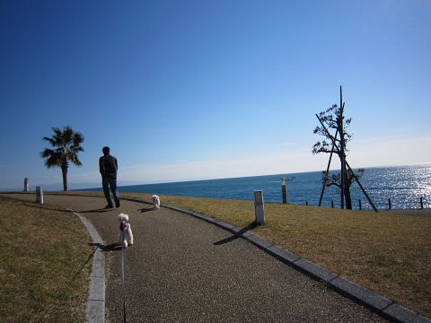 b0104592_20233739.jpg