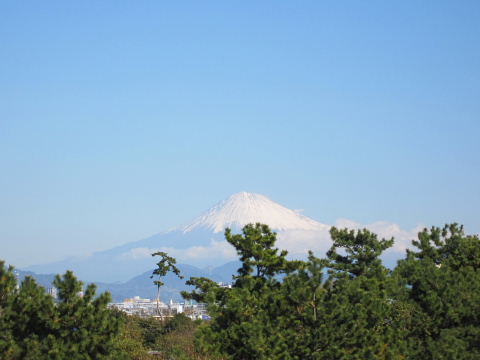 b0104592_20234364.jpg