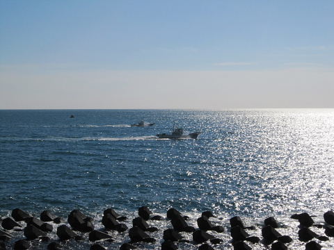 b0104592_20235534.jpg