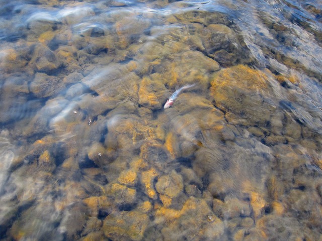 e0202393_02763.jpg