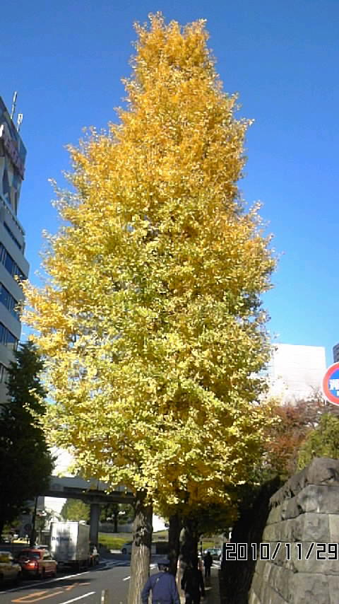 a0119795_13541582.jpg