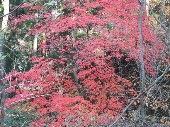 b0044296_014252.jpg
