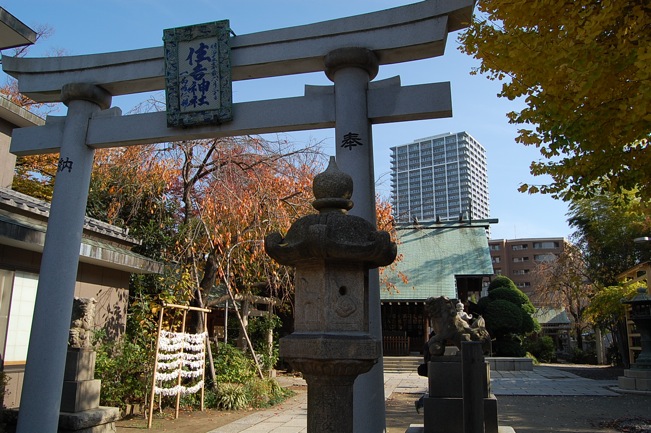 a0141498_21455416.jpg