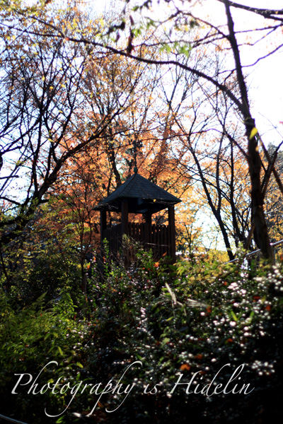 c0011204_22431810.jpg