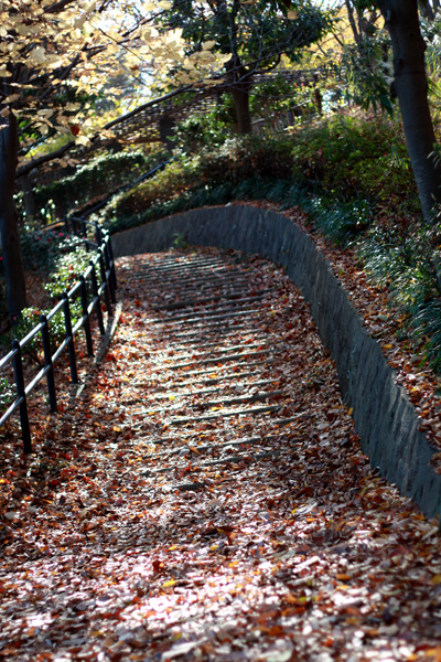 c0011204_22461226.jpg