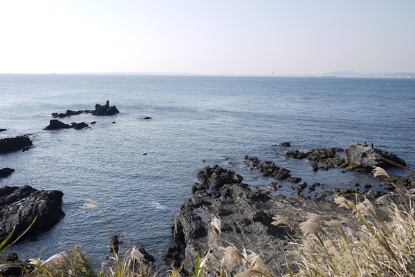 d0133704_1552457.jpg