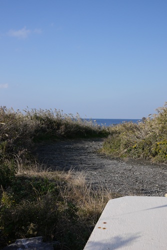 d0133704_15583351.jpg