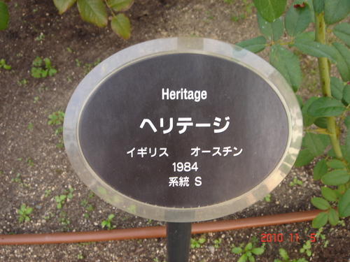 d0154508_742858.jpg