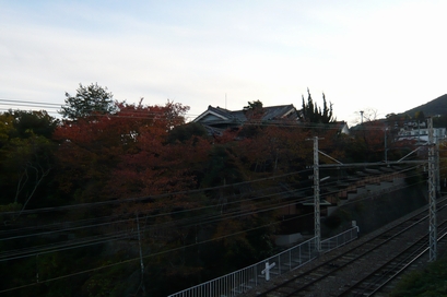 f0221708_12235976.jpg