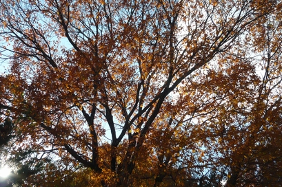 f0221708_12244013.jpg