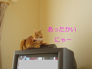 b0200310_8583582.jpg
