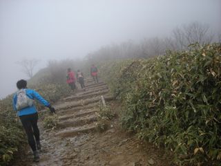 b0183911_11462590.jpg