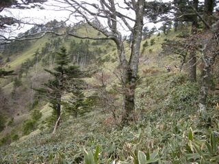 b0183911_11562024.jpg