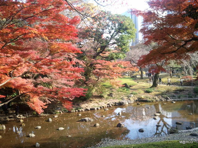 c0037611_044796.jpg